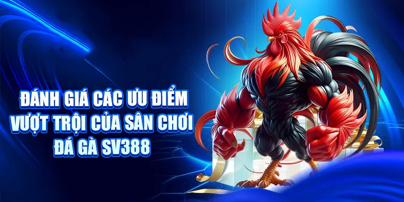 Đánh giá các ưu điểm vượt trội của sân chơi Đá Gà SV388